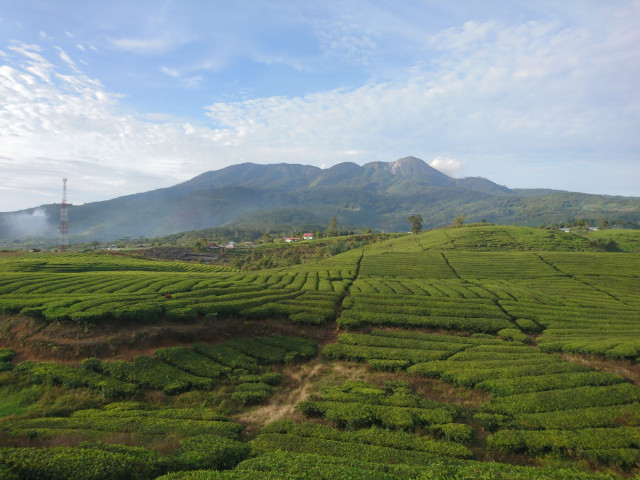 Layanan Informasi Warisan Geologi Indonesia